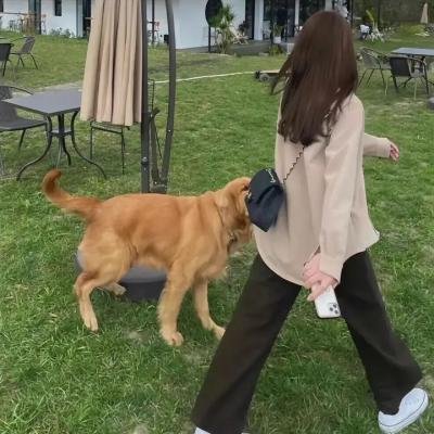 爱你入胃